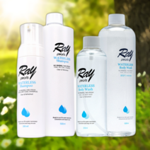 레이펄스 워터리스 샴푸/바디워시 물없이감는샴푸/바디워시/환자/노약자/캠핑/낚시/여행/워터리스/비박용품/병문안선물, 레이펄스 워터리스 샴푸 200ml (본품), 레이펄스 워터리스 샴푸 200ml (본품)