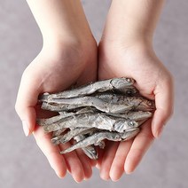 맑은먹거리 은빛바다(대)멸치 250g, 99999개