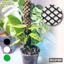 메쉬밸류 수태봉 수태벽 1M 6000원~, 10. 마름모망 / 7mm / 흰색 / 1M