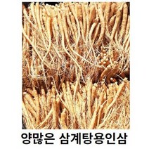 인삼 삼계탕인삼 삼계탕수삼 수삼 삼계탕 수삼파삼 삼계수삼750 금산인삼 삼계탕용수삼 삼계인삼, 세척원하지않아요(X), 500g 50-60뿌리