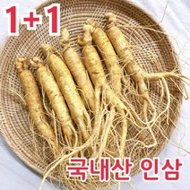 [1+1] 금산 인삼 바른인삼 6년근 5년근 난발삼 300g, [원플러스원] 원수삼 4~7뿌리, 세척안함