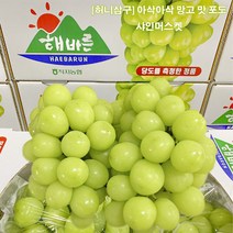 허니삼구 추석 명절 선물세트 망고맛포도 고당도 가정용 샤인머스켓 2KG내외, 2KG내외(3-5송이)