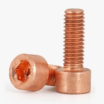 M6 구리 육각렌치볼트 2개 DIN912 소켓 헤드 나사 라운드 원형 순수 전도율, M6 (2개), 10mm