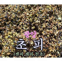 광양 백운산 초피(제피) 200g 천초열매 (추어탕 겉절이 초피차)