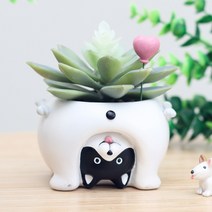 하비스 루고 인테리어 미니 다육이 화분 거꾸로 보는 세계 강..., 단품