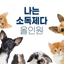 애완 반려동물 강아지 고양이 배변 냄새제거 항균 스프레이 소독제 탈취체, 나는소독제다 300ml