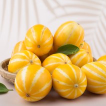 성주 산지 직송 꿀 참외 3kg 5kg 10kg 가정용 정품 직거래 박스 못난이 소과 로얄과 중과 박스포장, 2_1. 로얄과 참외 2kg(10과내외)