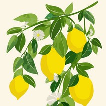 홈데코 하모니아트 DIY 유화그리기 세트 40x50 레몬 나무-72394EA, AC_ 본상품선택