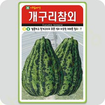 개구리 참외 씨앗 50립 참외씨앗