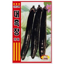 대흑장가지 씨앗 100립