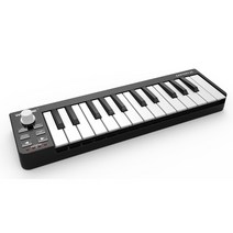 마스터건반 25KEY 49KEYS 61KEYS 미디건반 마스터키보드, EASYKEY25