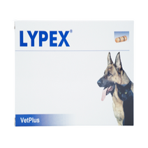 라이펙스 LYPEX 60캡슐 췌장 효소 영양 보조제