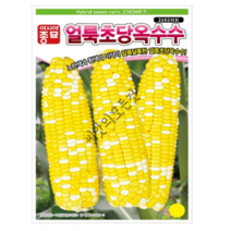 얼룩초당옥수수 씨앗 100립 알록당록 생식용 초당옥수수 종자 2182MR 아시아종묘, 02.백초당100립
