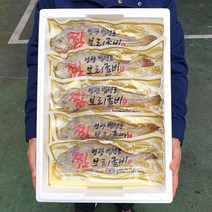 [산지직송] 영광법성포 내장제거 손질찜보리굴비 27cm 28cm 31cm내외 가정용 추석 설선물세트 간편진공포장, 5팩, 찜보리굴비27cm