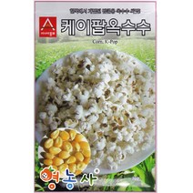 팝콘옥수수씨앗 20g, 케이팝옥수수