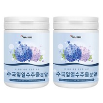 수국잎 열수 추출물 분말 수국 리세린지 산수국 수국잎추출물 차 가루 하이드란제놀 안토시아닌 필로둘신 썬버지놀 게르마늄 뷰티푸드 국산, 100g x 2통입니다