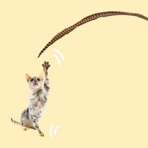 [천삼백케이] [문구나라] 1m 롱 꿩깃털 1개 고양이장난감 새깃털 낚시대