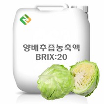 양배추즙농축액 20kg, 단품, 1
