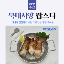 캐나다 랍스터 테일 4.54kg 40미 내외 4oz 바닷가재 꼬리 버터구이 캠핑 구이용, 1개