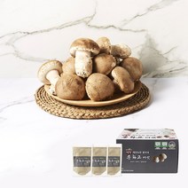 해담농원 별이네 송화고버섯 600g 평창재배