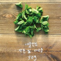 [논밭허브] 애플민트 생잎 작은 잎 50g/데코용, 1봉, 50g
