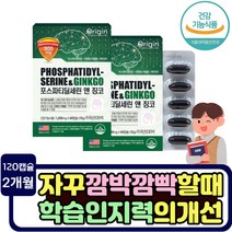 은행잎 추출물 인지력 기억력 개선 도움 건강기능식품 플라보놀배당체 phosphatidylserine 징코 항산화 세포보호 비타민E 취준생 고3 고2 직장인 머리영양제 레시틴