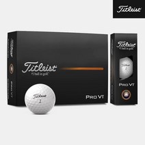 타이틀리스트 Pro V1 골프공 (1더즌)