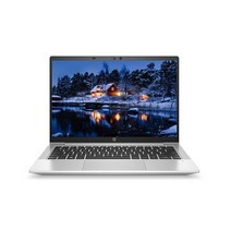 HP 2021 프로북 635 Aero 13 라이젠 3세대 4500U 8G 256G, WIN10 Home, 실버, 8GB, 256GB, 라이젠5, 2Z8Y6PA