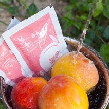 복숭아즙 주스 무첨가 복숭아100% 국산 50포, 50포(일반박스)