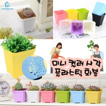 미니 사각 화분 3개 소 대 사이즈 반려식물 작은 다육이 플라스틱 화분 책상 좁은공간 베란다 어린이집 유치원 화분만들기, 블랙 3개