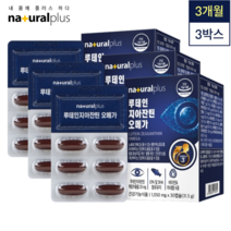 [오늘발송] 내츄럴플러스 루테인 지아잔틴 오메가3 (3박스/2박스 택1) 수험생 임산부 안구건증증 눈에좋은 음식 영양제 루테인 지아잔틴 오메가3, [3박스]루테인 지아잔틴 오메가3 3개월분
