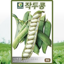 작두콩 씨앗 5립 다농, 1개