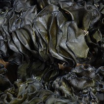 포항마트 국내산 미역귀 300g / 짜지않는 자연산 미역귀 신선한 꾸다리 맛좋은 돌꾸다리 돌미역귀, 1개, 자연산미역귀200g