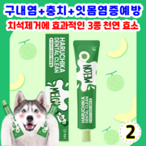 펫생각 하루치카 덴탈크린 치약 메론향 맛 강아지 치석 구취 구내염 제거 메론향 맛, 2개