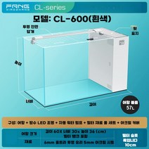섬프수조 열대어 대형 일체형 소형 아크릴 유리 광폭 구피 거실 배면 어항, D. CL600화이트+커버