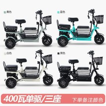 삼륜전기자전거 세발 3륜 2인용 성인용 전기자전거, 48V, 인승/배터리용량