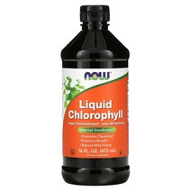 나우푸드 액상 클로로필 엽록소 천연 민트향 473ml, 1개