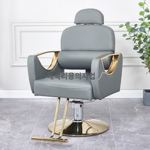 미용실의자 헤어샵 이발소 메이크업 미용 의자 높이조절 네일샵 업소용 좋은 품질의 이발 의자 스테인레스 스틸 팔걸이 미용실 특수 머리 절단 대형 작업 샴푸 침대, A.공식 표준, M.클래식 - 헤이즈 그레이(골드) 넣어