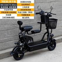 세발 노인 어르신 삼륜 3륜 스쿠터 전기 오토ㅊ바이 바이크 전동, 48V, 패밀리 프리미엄 15AH/75-85km