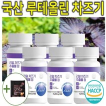 프리미엄 고농축 국내산 차즈기 차조기 차지기 차주기 차자기 붉은깻잎 보라색깻잎 루테올린 루테인 자소엽 자엽소 잎 차 티 캡슐 환 정 분말 가루 파우더 추출물 효능 효과 추천 6통