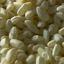 누룩소금 쌀요거트 제조용 쌀누룩(입국) 500g, 3팩