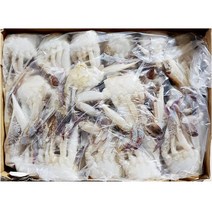 절단꽃게(S) 450g 식당 수산물품질관리사, 1, 본상품선택