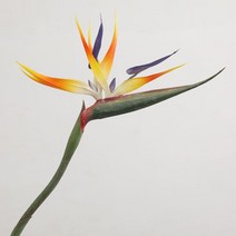오렌지 버드 오브 파라다이스 오키드 라지 90CM 부케 리얼 터치 웨딩 플라워 인조 꽃 파티-인디고, 02 1 PIECE_01 Length 90cm