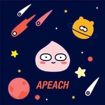 (SM)DIY 큐빅 보석십자수 우주모험 어피치 25X25