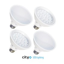 씨티오 LED전구 PAR30램프 15W 전구색 주광색, 씨티 LED PAR30 15W 확산형, 주광색(백색)