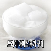 다인 냉매제추가 (단독구매불가) [8900]드라이아이스, 1개, 1개