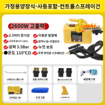 다목적 순간 고압 스팀 해빙기 수도 스텐 건 동파 가정용 언수도녹임 전기 청소 간편, 2600W-옐로우