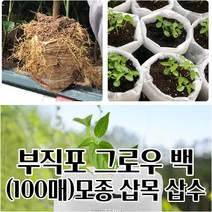 모종 삽목용 부직포화분 X 100매 그로우백 깔끔한화분 사용이편리한 텃밭상자, 14x16cm 100매