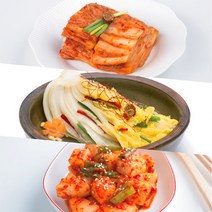 태백하늘 맛김치.열무 총각 오이 2종세트김치, 2)맛김치1kg+열무1kg+나박물김치1kg