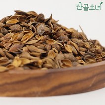 산골소녀 중국산 연교 개나리열매, 300g